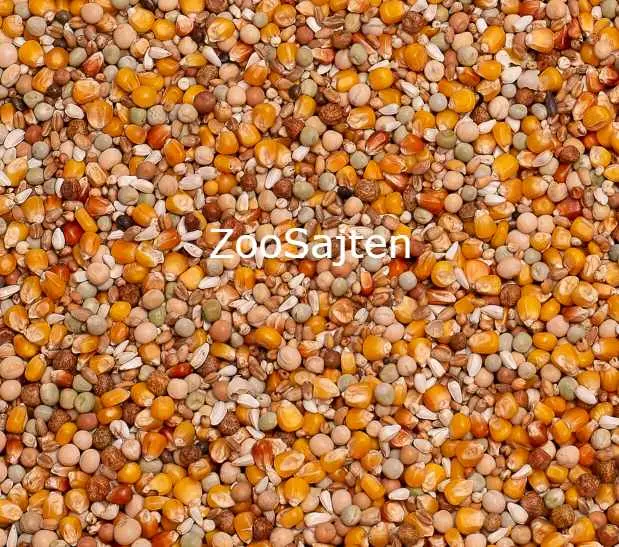 Beyers ORIGINAL Sport/Racing 25kg