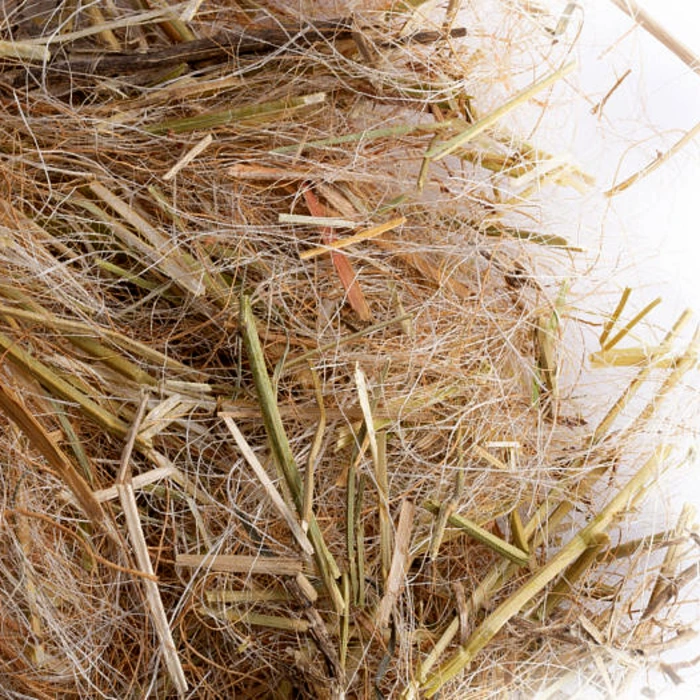 Bomaterial Sisal och Fibrer – 250g