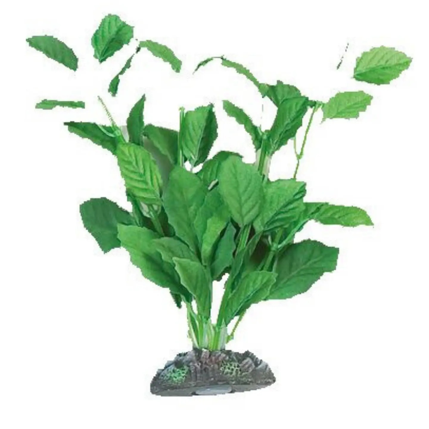 Dekoration växt Brasil no. 6