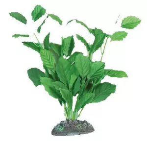 Dekoration växt Brasil no. 6