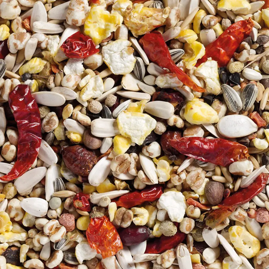 61 - Papegojblandning Brilliant