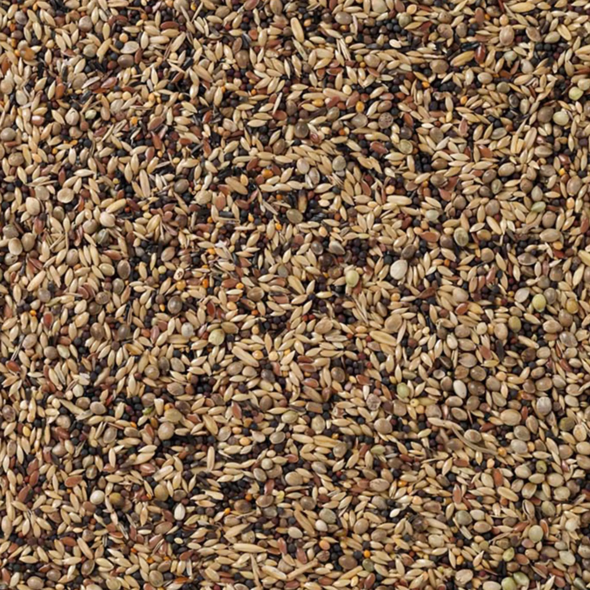 91 - Brittiska finkar