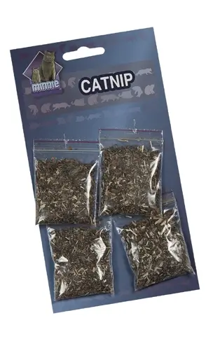 catnip