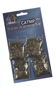 catnip