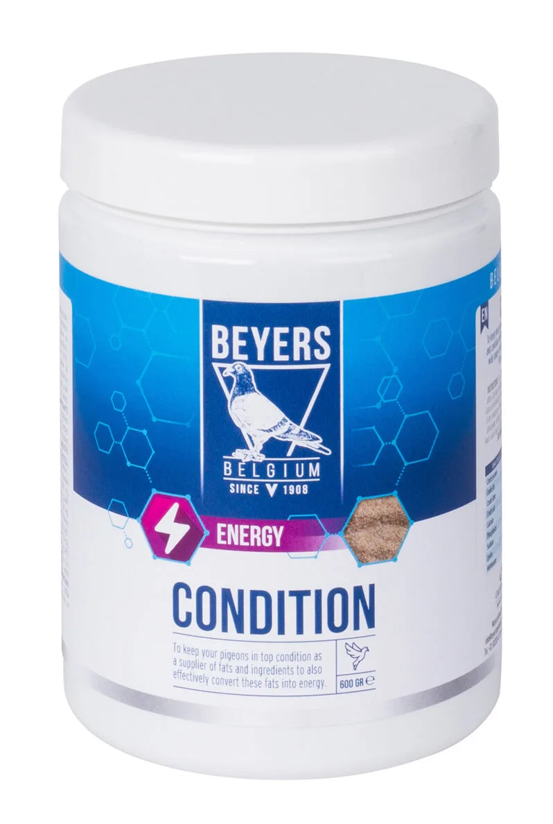 Condition Beyers