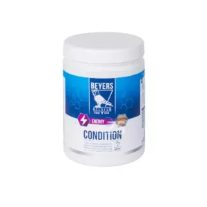 CONDITION Beyers