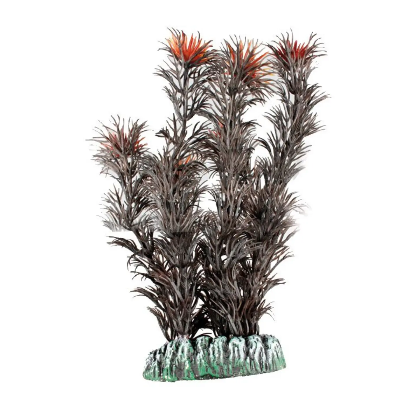 Dekoration växt Guyana no. 1