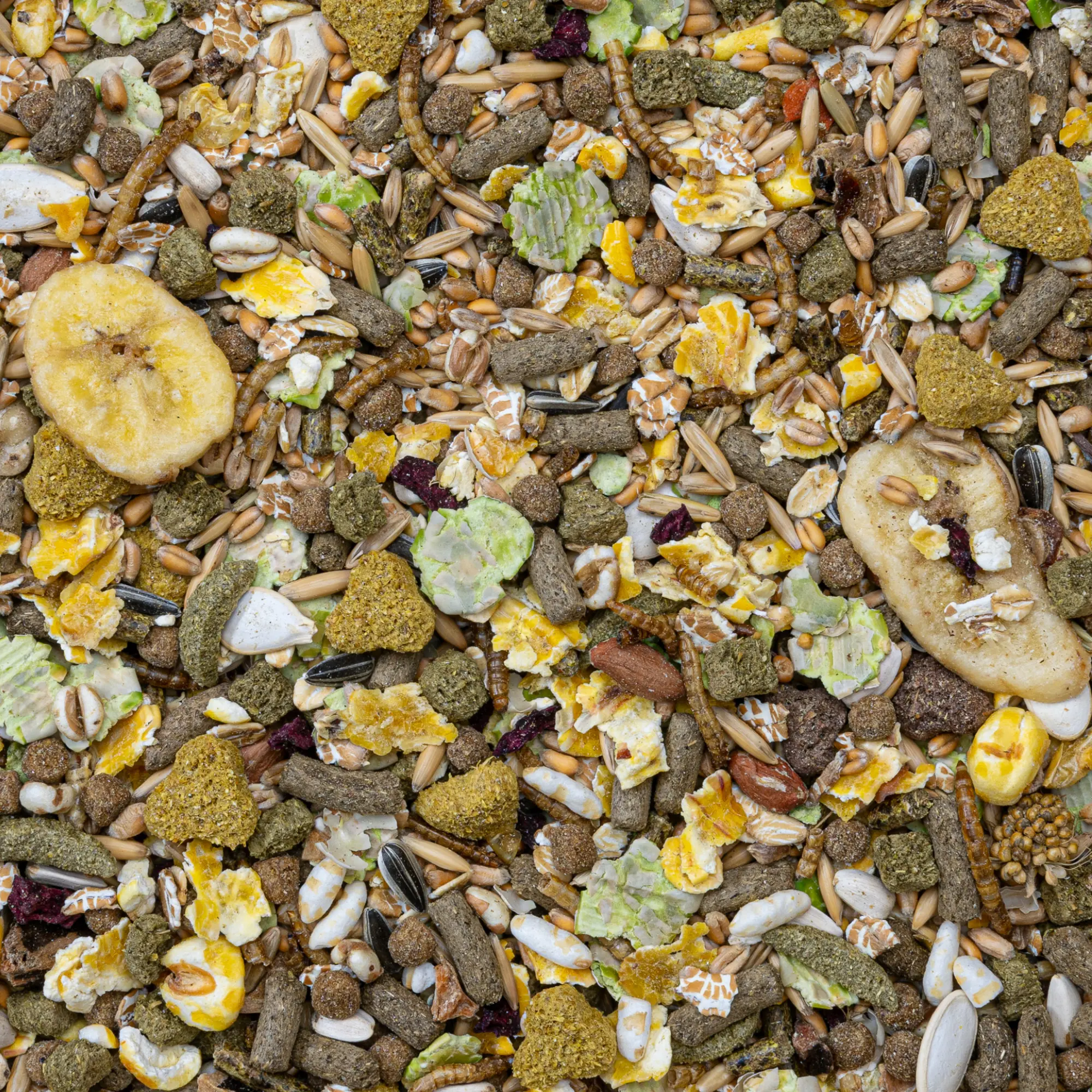 Rodelicious hamstrar 0,75kg