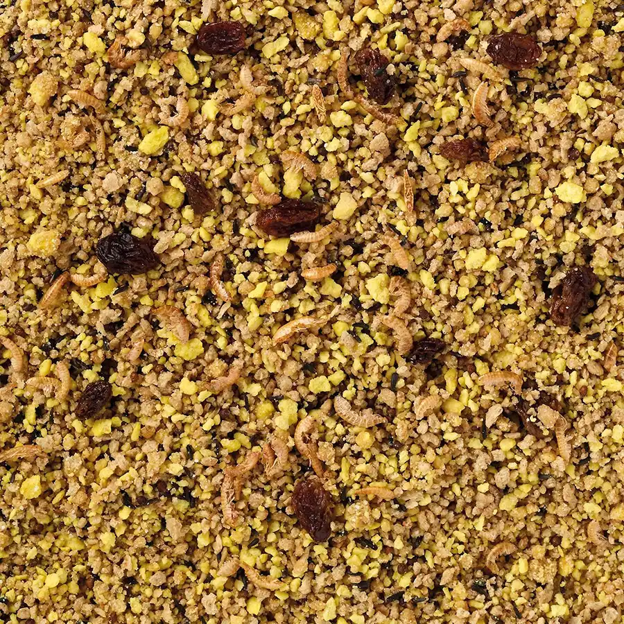 Äggfoder Parakiter och Papegojor