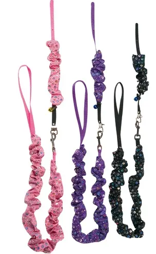 Disco koppel och halsband