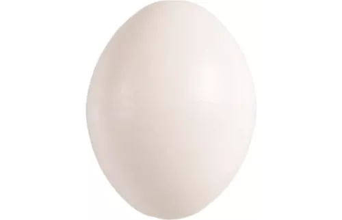 Massivt duvägg