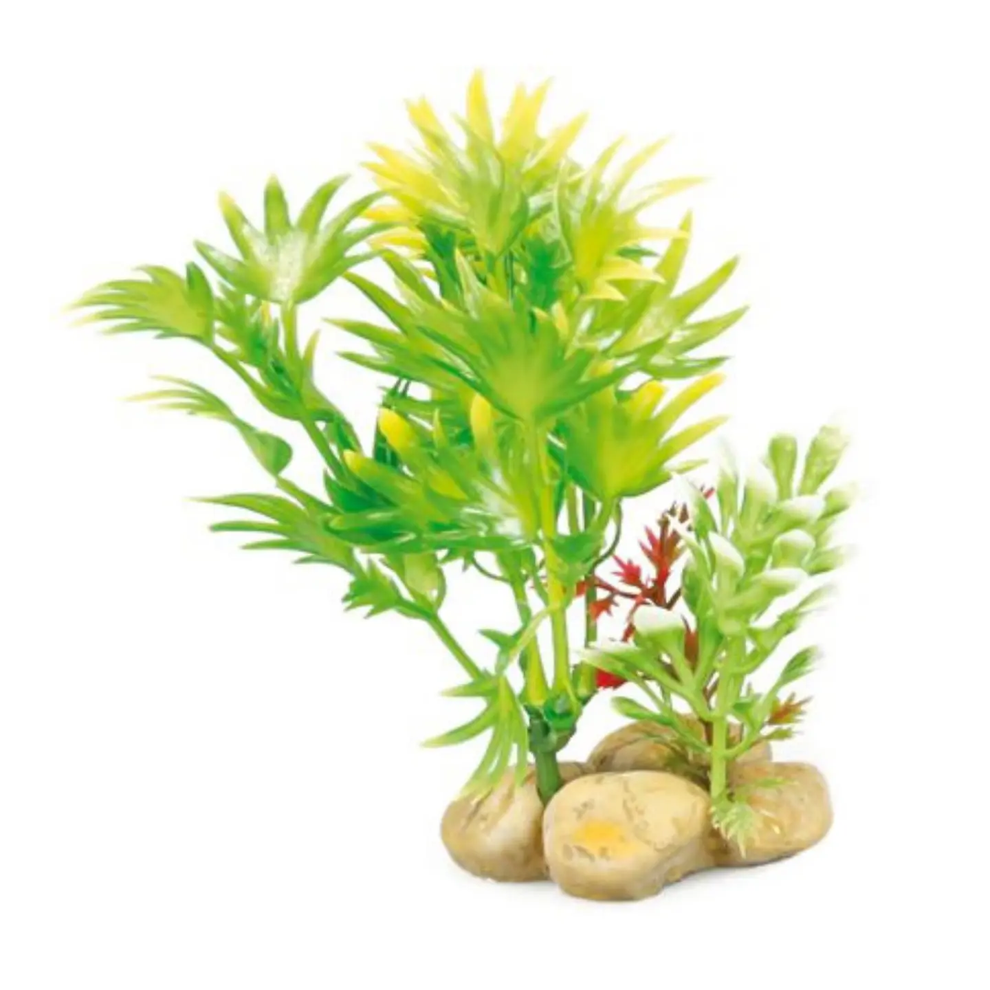 Dekoration växt Stone no. 3