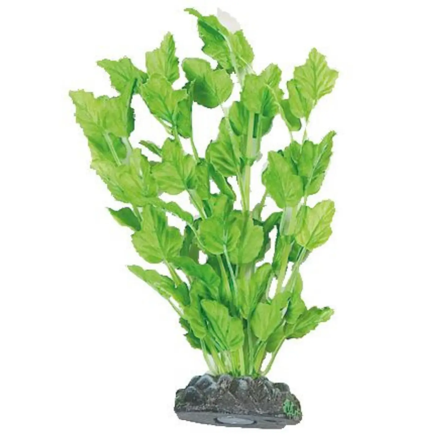 Dekoration växt Brasil no. 3