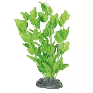 Dekoration växt Brasil no. 3