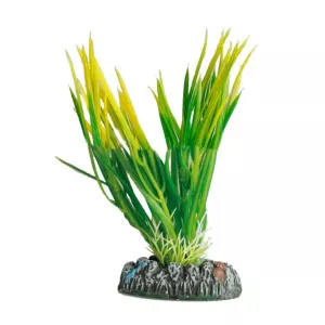 Dekoration växt Guyana no. 4