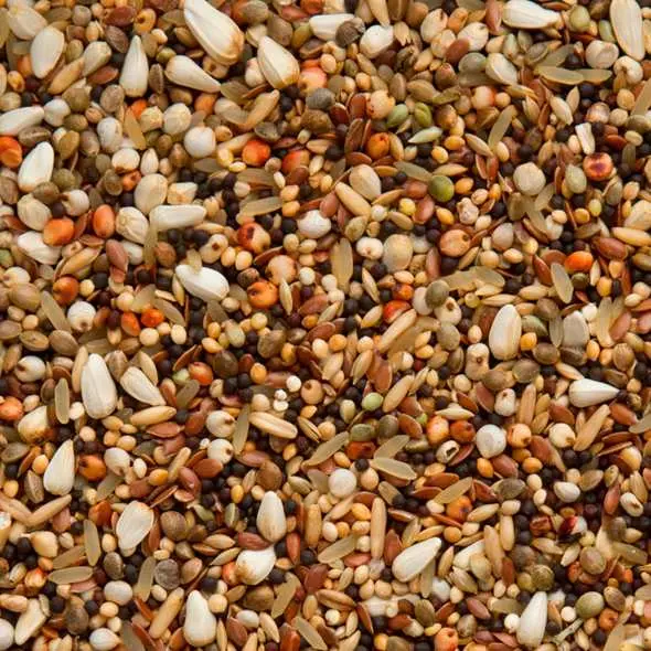 Beyers Elite Enzymix 7/57