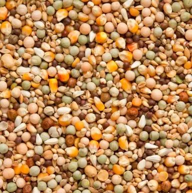 Beyers Elite Enzymix 7/40 20kg