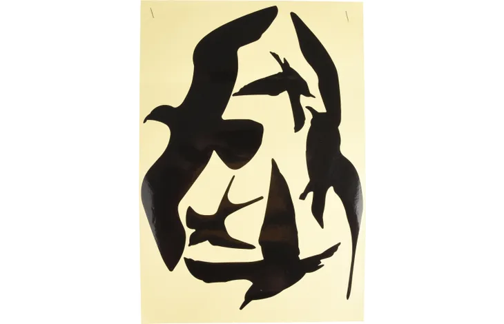 Fågelsiluetter som går att klistra upp på fönster för att vildfåglarna inte ska flyga in i fönstret. Det är 5st fåglar i olika motiv och storlekar. Stilrena och svarta för att synas tydligt för vildfåglarna.