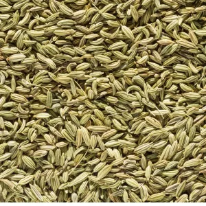 Fänkålsfrö till fåglar 100 g