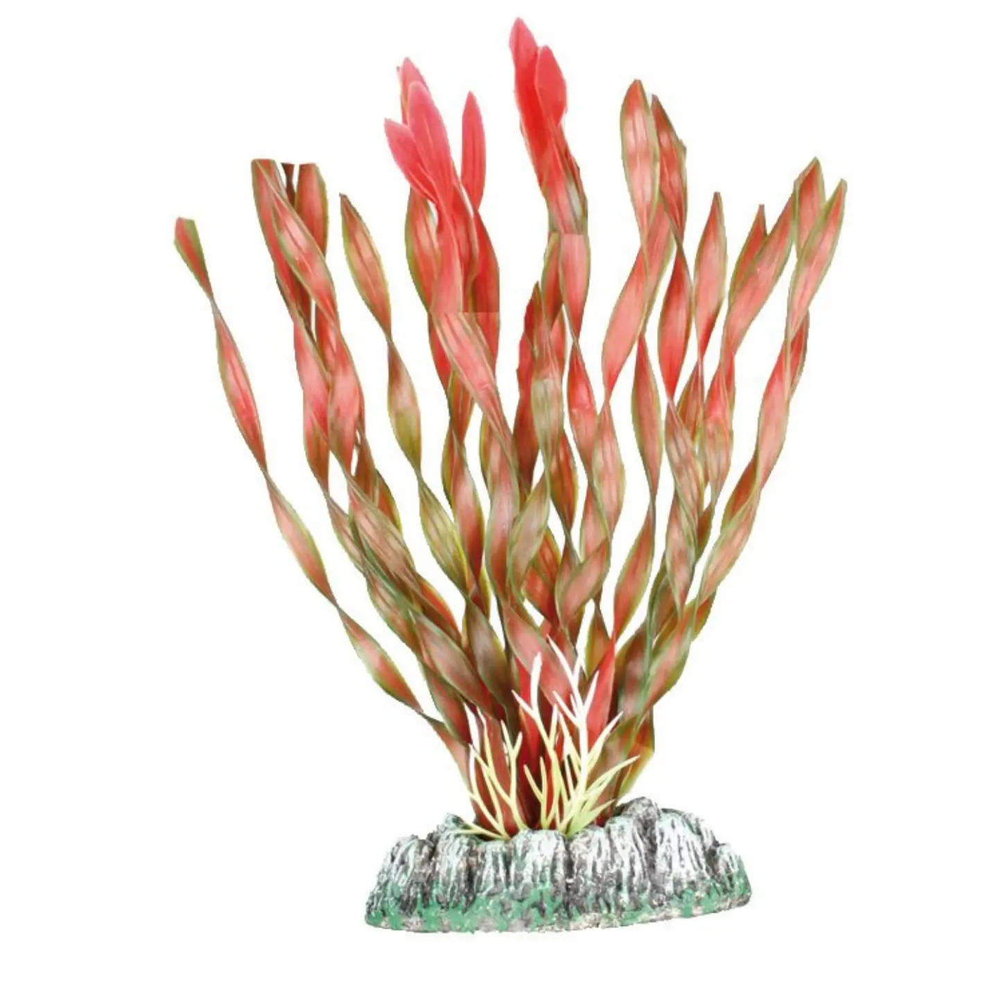 Dekoration växt Guyana no. 6