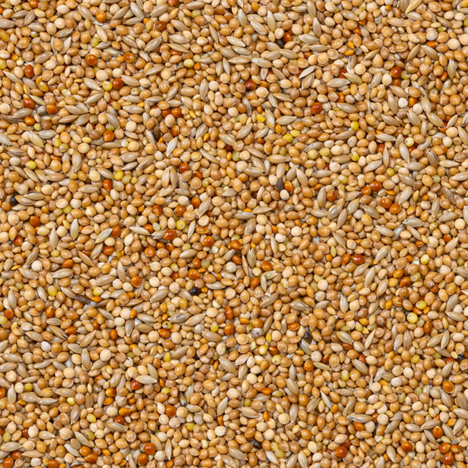 40 - Finkblandning standard