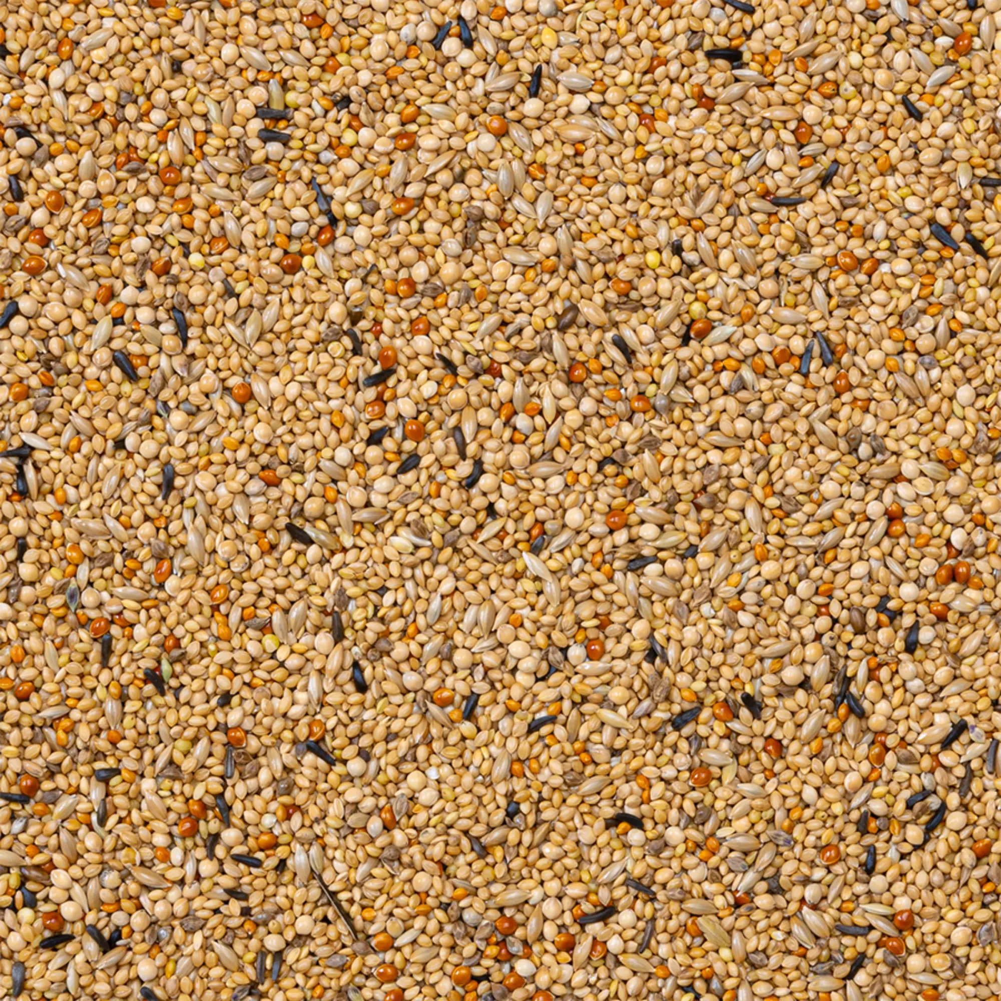 56 - Finkblandning Super