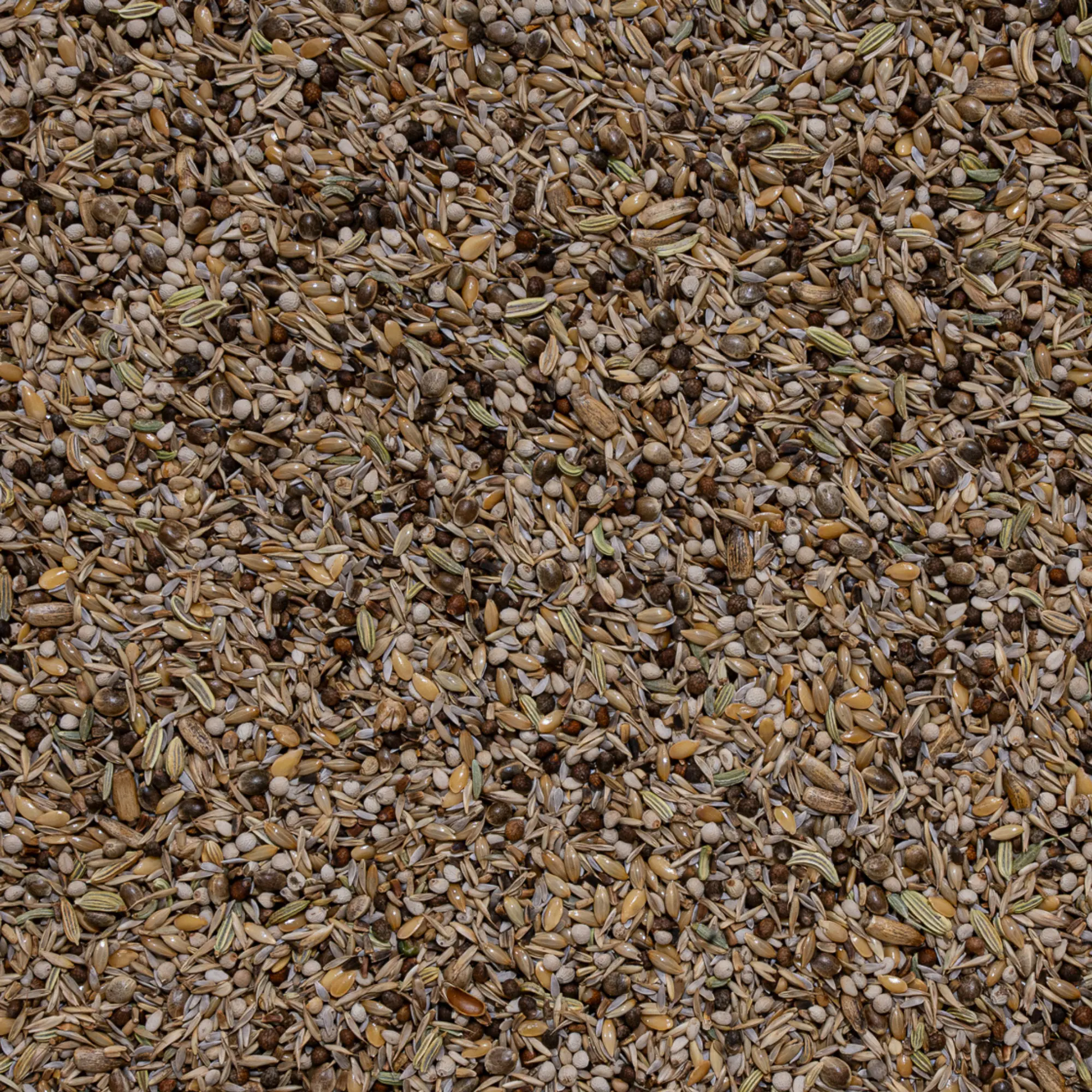 17 - Goldfinches Platinum Finkblandning