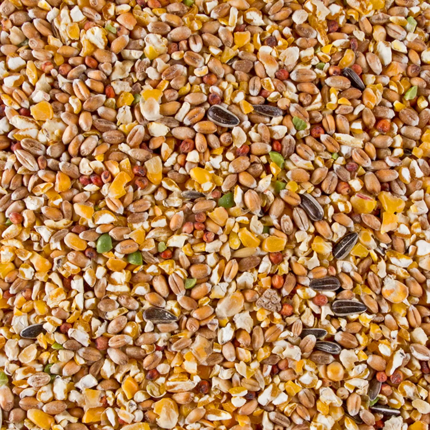 Spannmålsblandning för mindre höns 4 kg