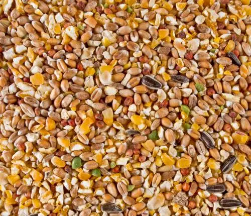 Fodermix till fjäderfä 20kg