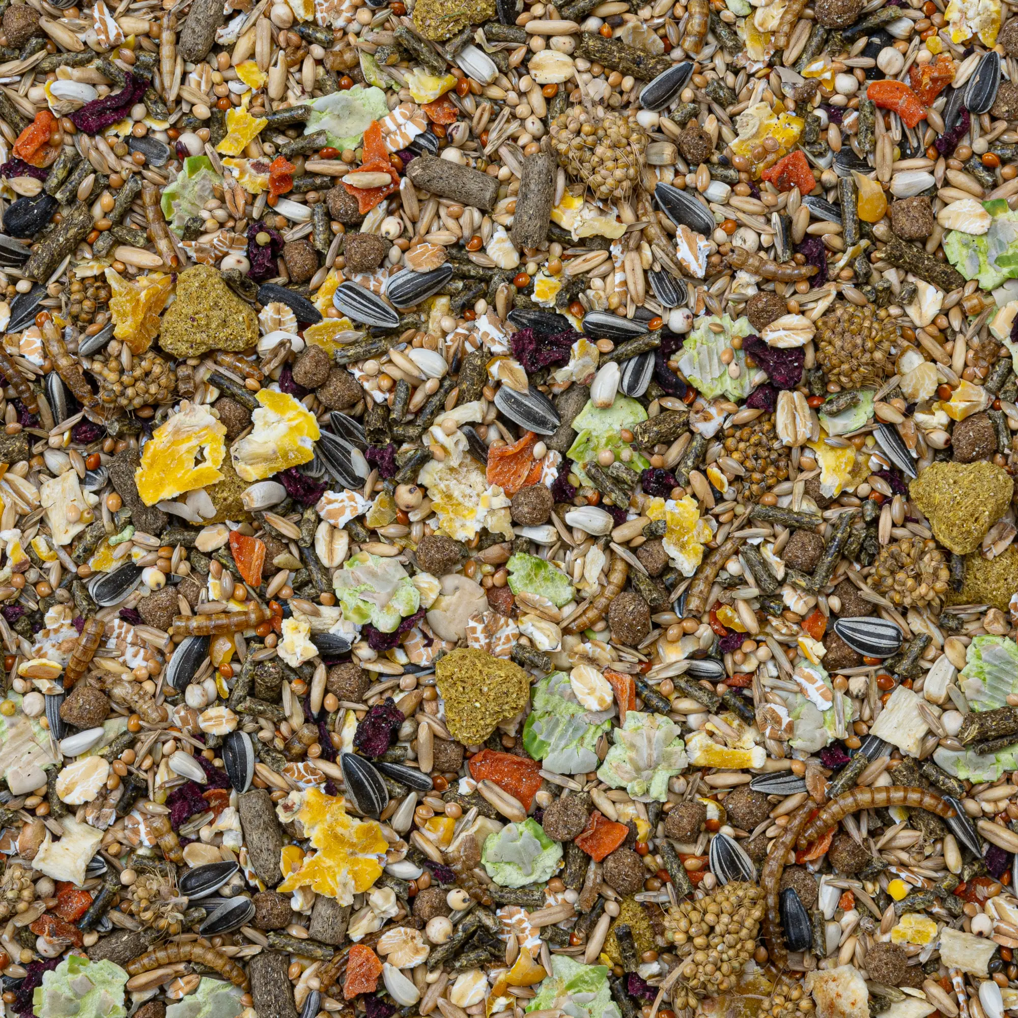 Rodelicious dvärghamstrar, möss och gerbiler 0,75 kg