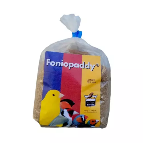 Fonio Paddy fågelfrö