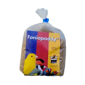 Fonio Paddy 1kg