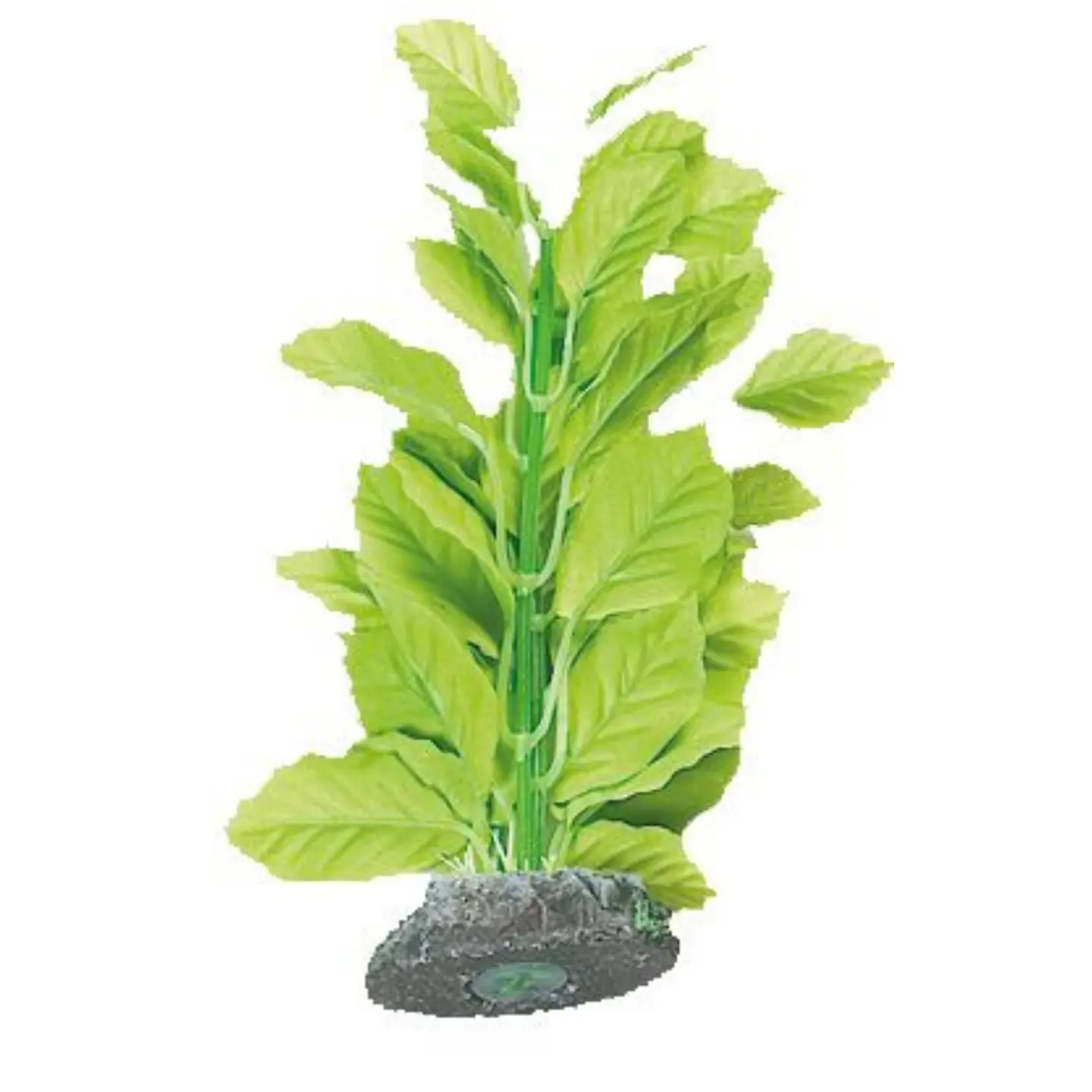 Dekoration växt Brasil no. 4