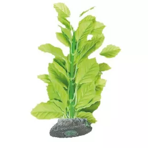 Dekoration växt Brasil no. 4