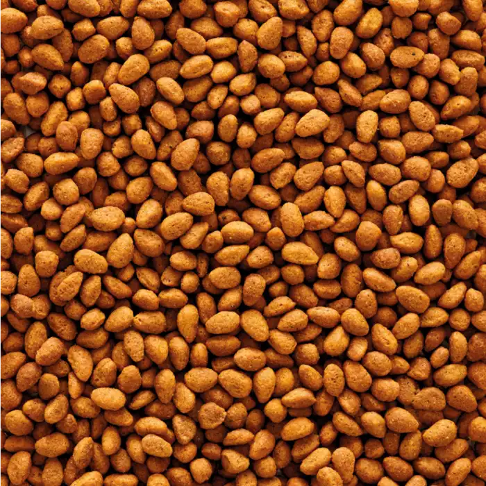 Nutribird G14 Original