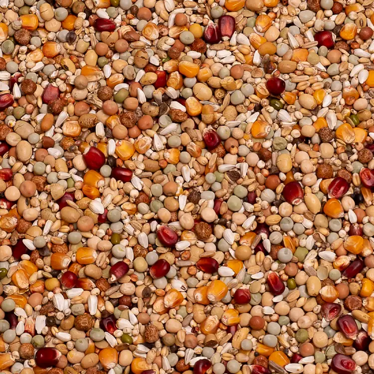 Galaxy Breeding 20kg