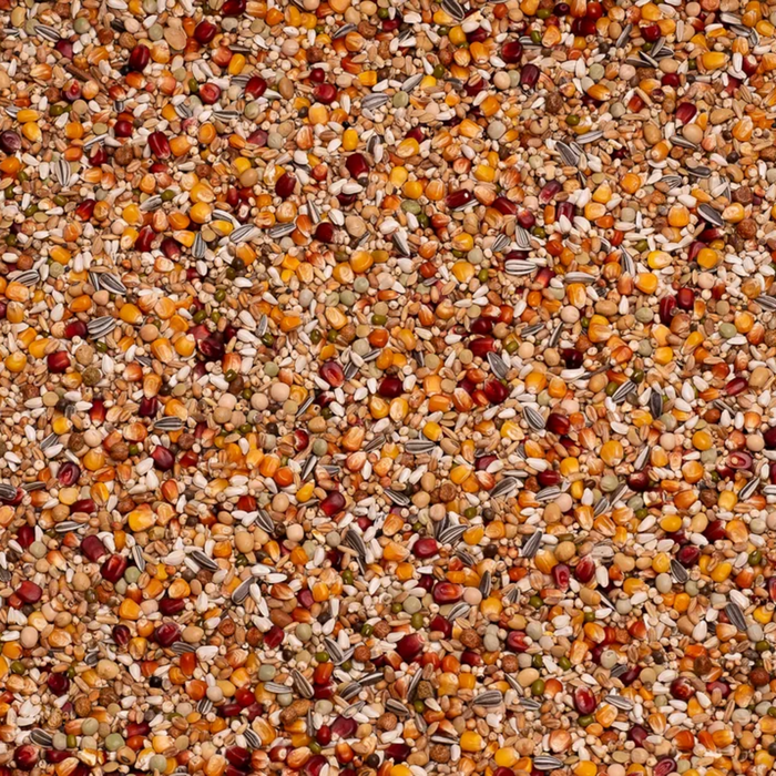 Galaxy Long Distance TT