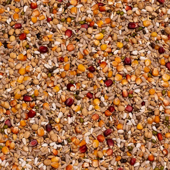 Galaxy Sport energy 20kg