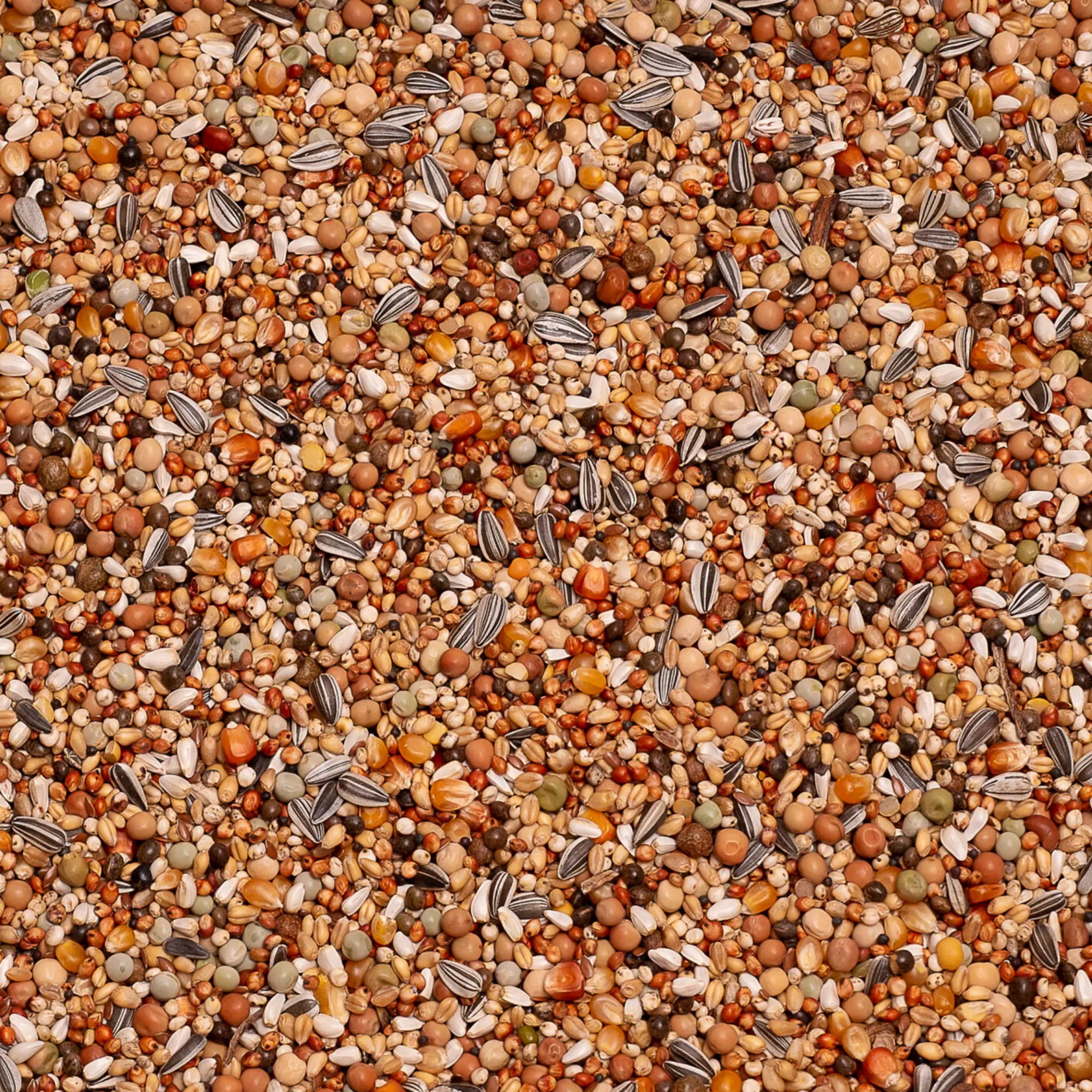 Groddblandning Special (15 olika frö) 1,6kg