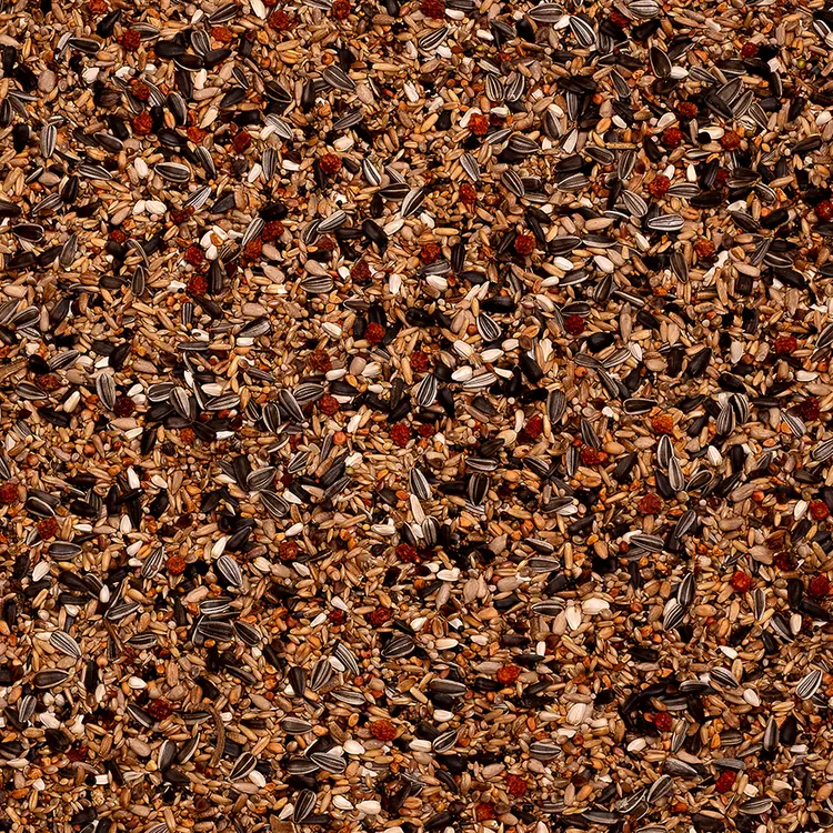 29 - Greenfinch Supreme 20 kg