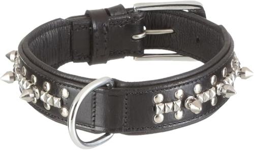 Hundhalsband med nitar