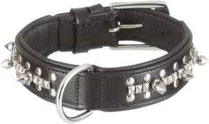 Hundhalsband med nitar