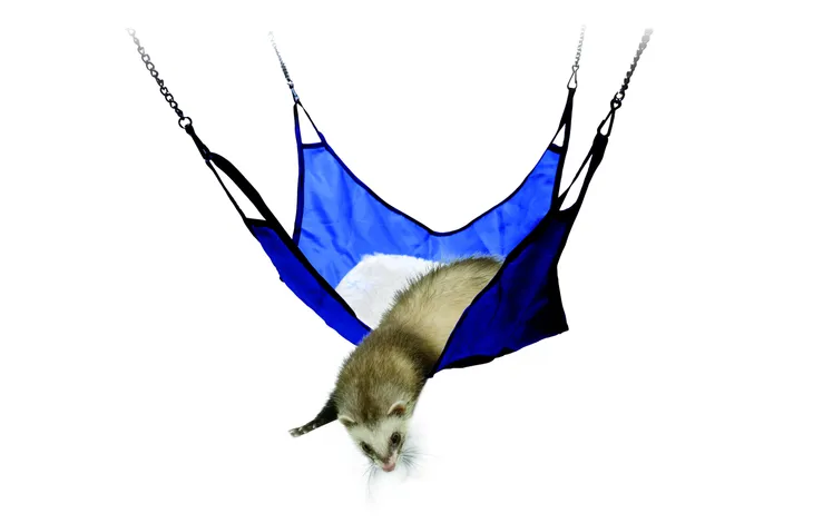 Hammock för illrar och råttor, med fleecefoder och nylon, enkel att hänga upp i buren för extra komfort.