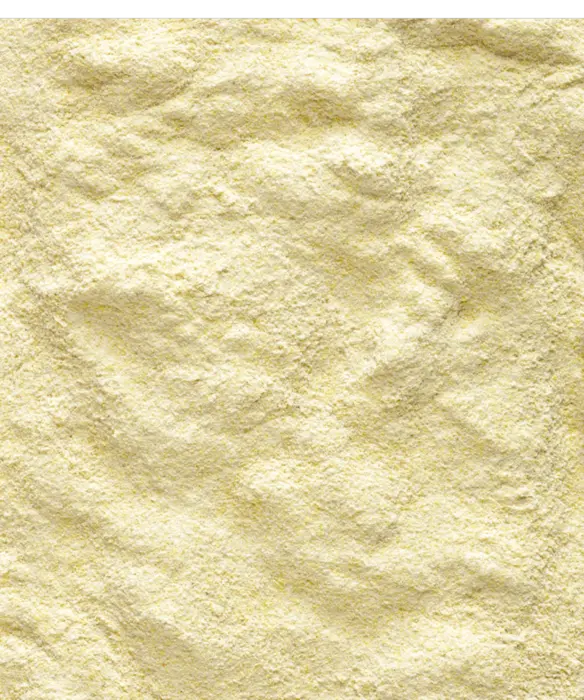 A18 Lori – Handuppmatningsfoder för lorifåglar 800 g