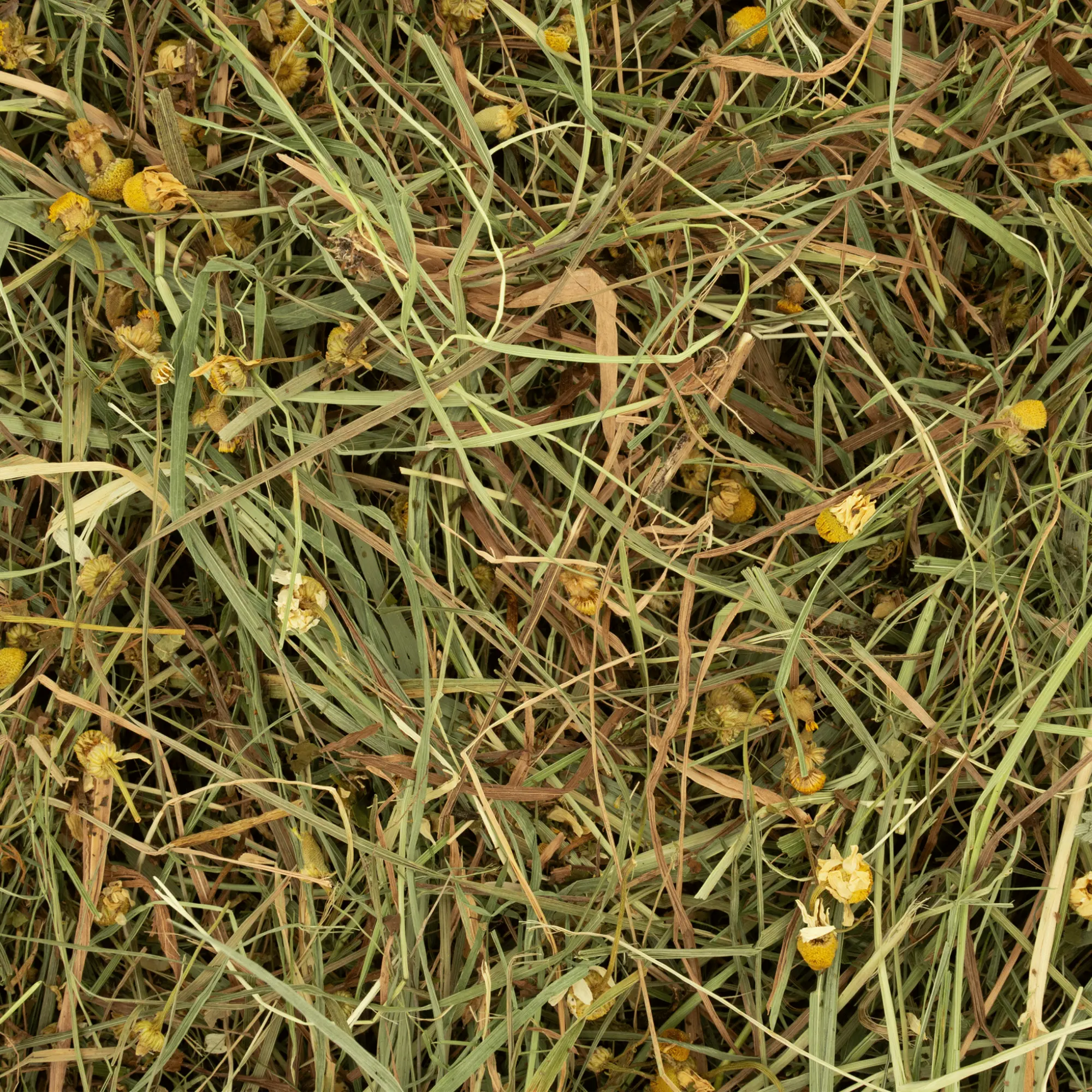 Hö med prästkrage och maskros 0,6 kg