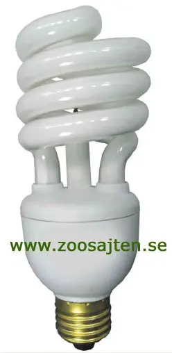jon-lampa