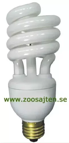 jon-lampa