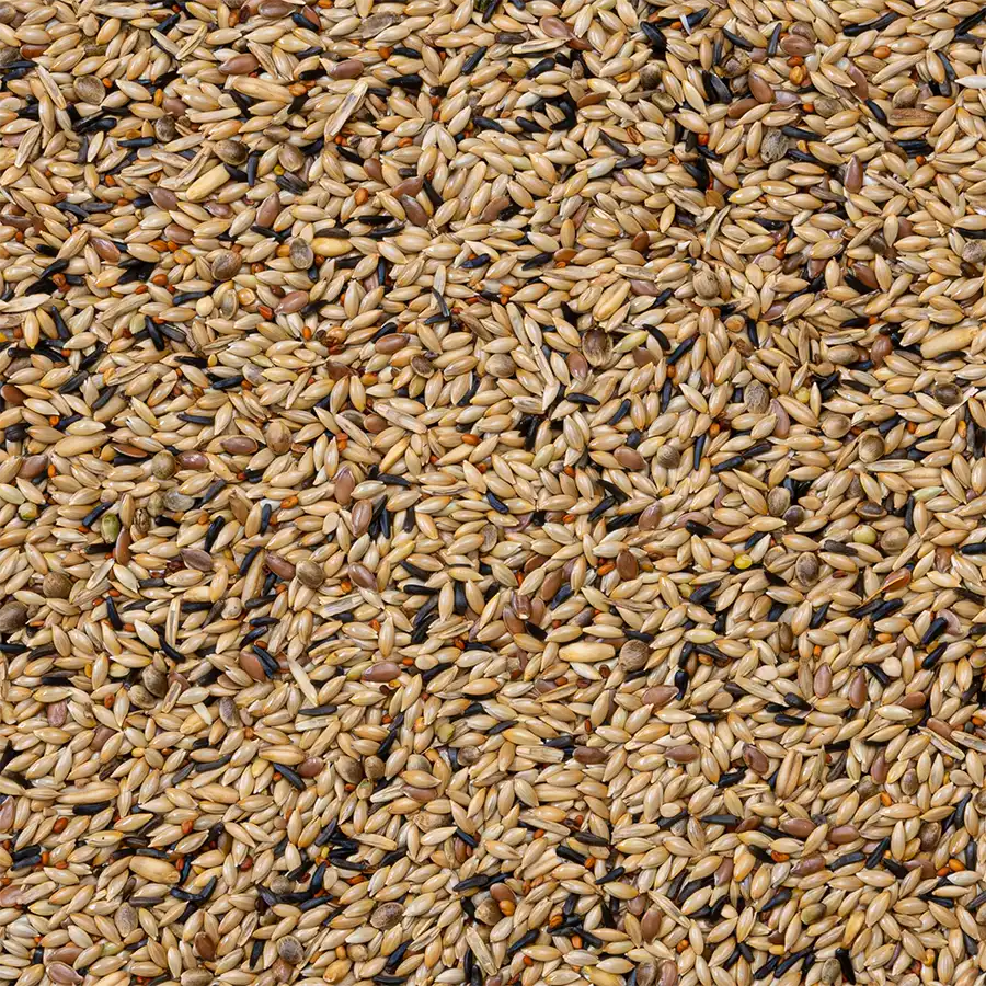 80 - Kanarieblandning Utan Rybs