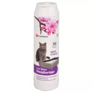 Kattdeo