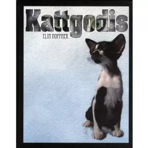 Kattgodis